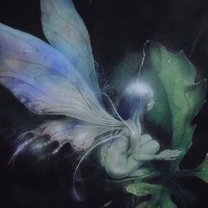 ⭐️ FiYA FLY BLiSS ⭐️